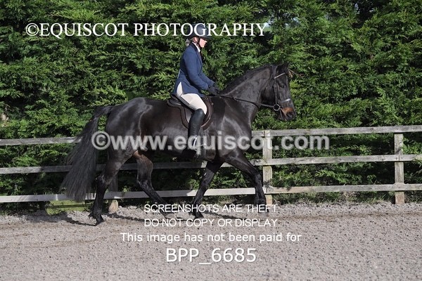 BPP_6685 - RING 1  (RIDDEN HORSES / IN HAND / VETERAN ETC)