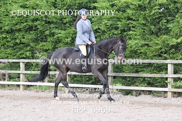 BPP_6969 - RING 1  (RIDDEN HORSES / IN HAND / VETERAN ETC)