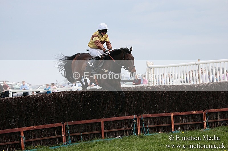 PtP 210418 226 - South & West Wilts Point-to-Point Larkhill 21/04/18