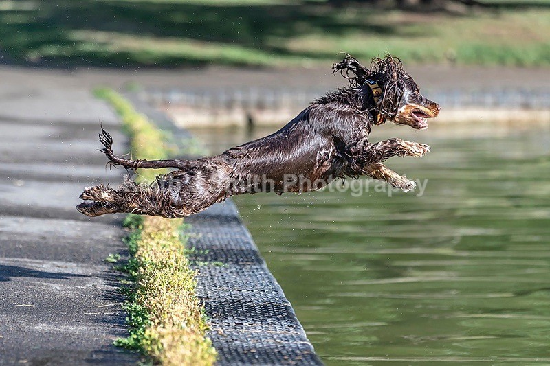 0KJS3311 - Abington Park & Northampton Town.
