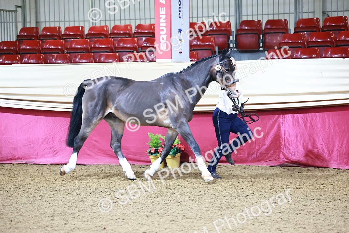 SBM_21667 - Class 901 - Supreme Final - IH  Diamond