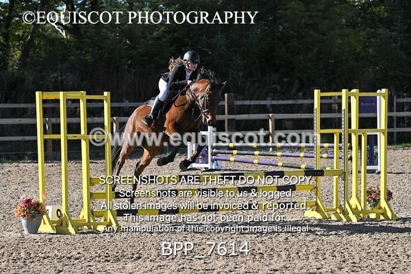BPP_7614 - CLASS 10 Pony British Novice / 0.80m Open