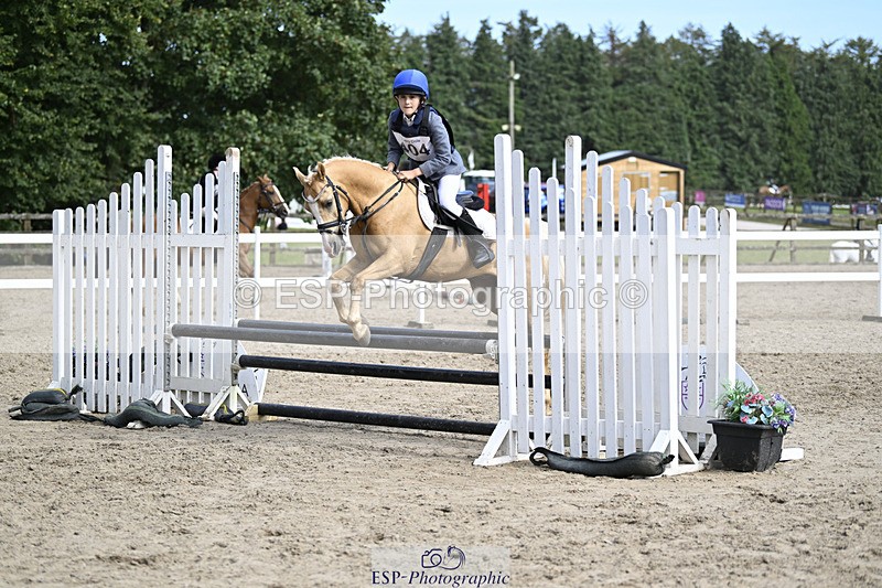 240823X-160536-19036 - 70cm R2 15.20 to 16.40