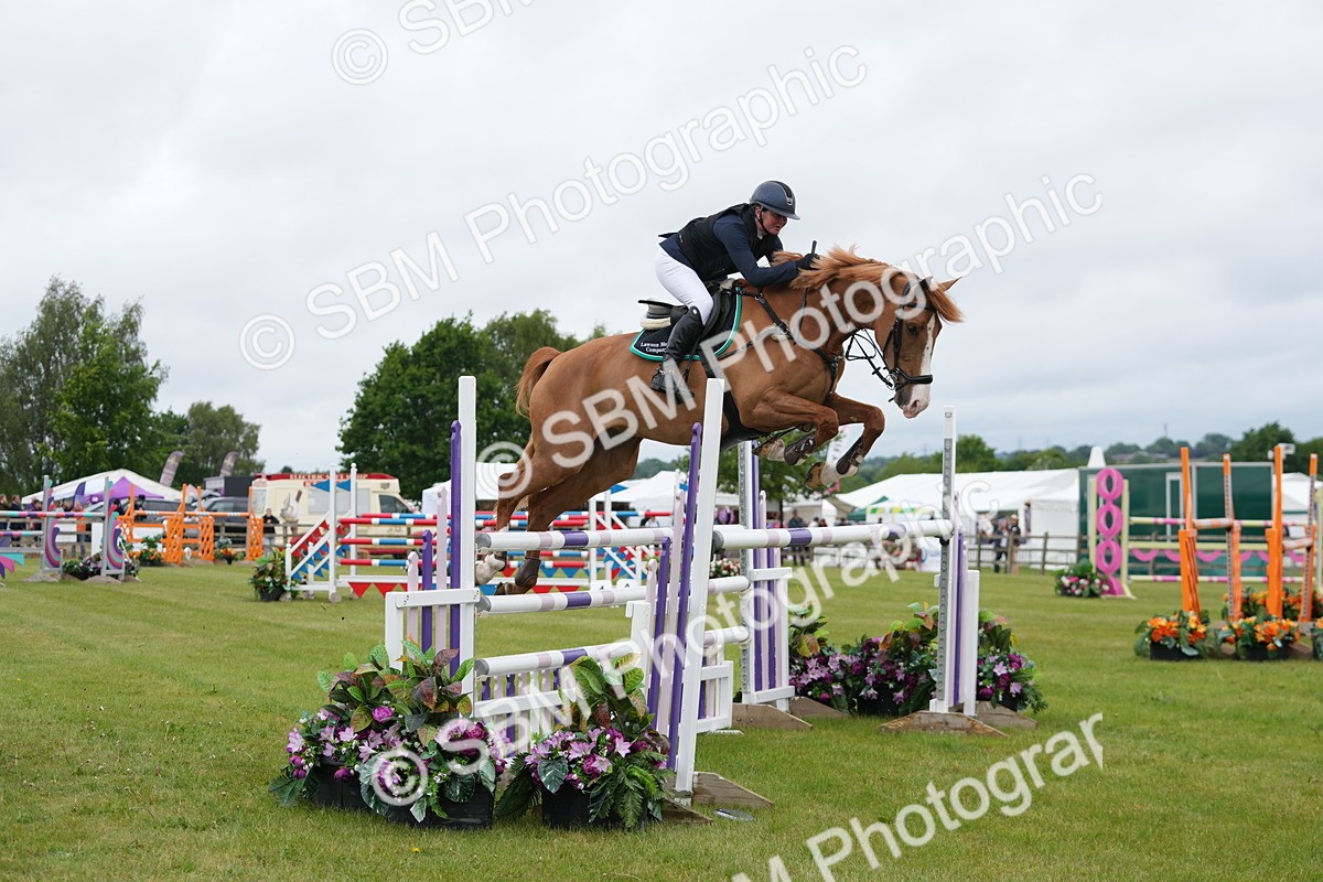 SBM_03283 - Class 201 - British Horse Feeds Speedi Beet Horse of the Year Show Grade  C