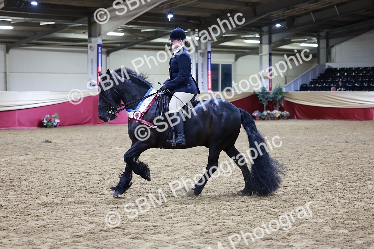 SBM_20928 - Class M - Equitation Champ