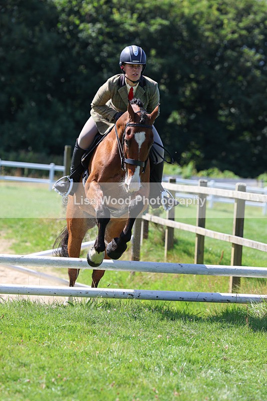 3E7A8555 - Class 5: Working Show Horse