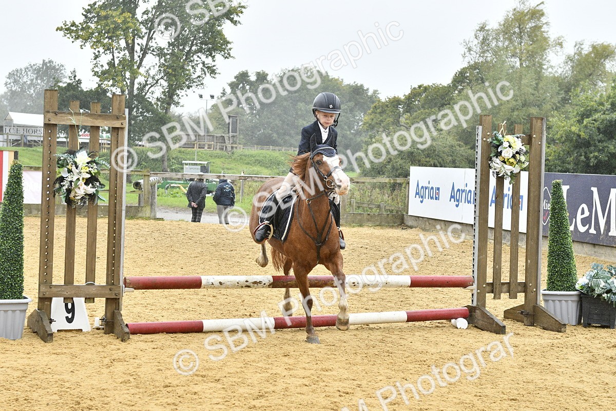 SBM_70970 - J3 - Mini Tour Junior Pony 40cm championship