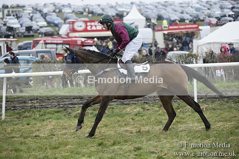 PtP 020418 -9 - Old Berks Point-to-Point Races Easter Monday 02/04/18