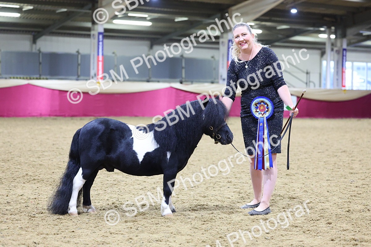 SBM_19239 - Class J Coloured Champ