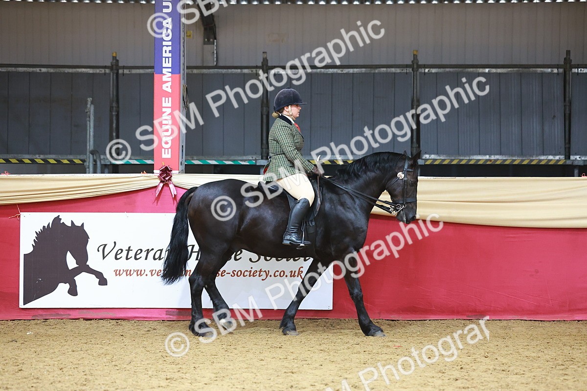 SBM_09596 - Class 102 - HOYS Veteran Qualifier - Ridden Veteran