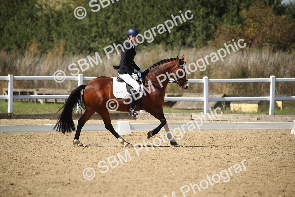 SBM_005779 - Class 11 - Novice 5 - 13.19-14.22