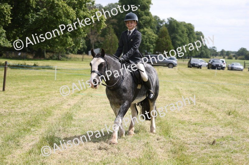 20260614-1987 - Class 21 - Novice Working Hunter Pony