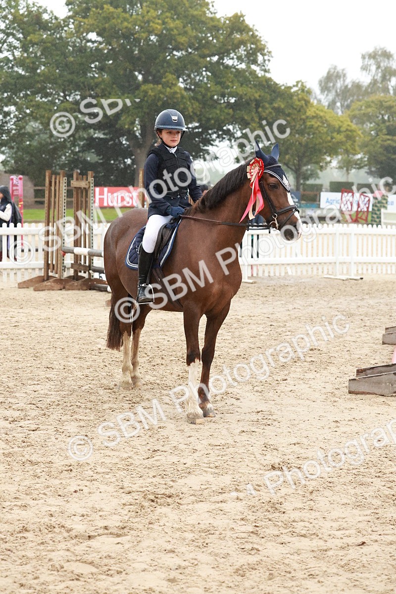 SBM_73592 - Supreme Championship Junior Pony 60cm & 65cm