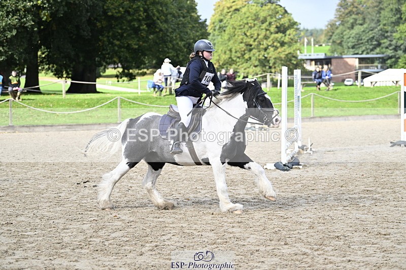 251005A-121505-03688 - Cls 08 Mini 70-75cm