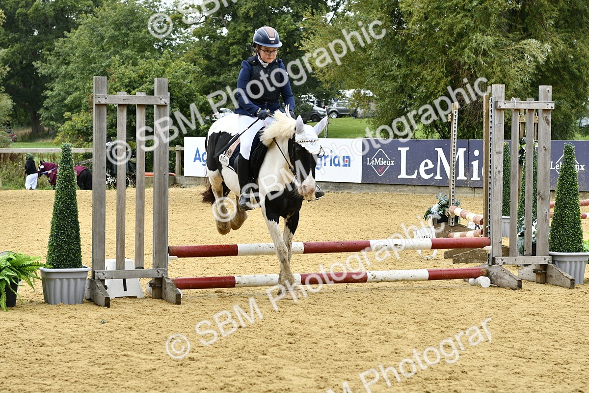 SBM_60462 - J61 - Mini Clear Round 30cm & 40cm