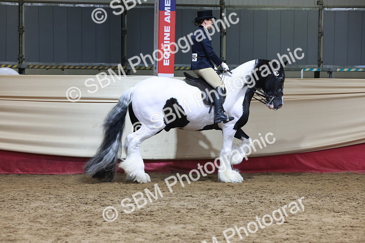 SBM_20112 - Class C - Novalty Champ