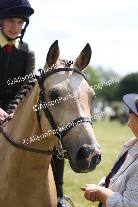 20260614-1768 - Class 21 - Novice Working Hunter Pony