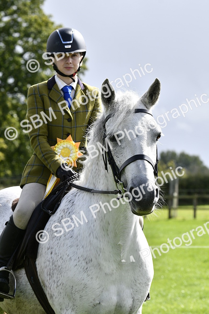SBM_41669 - S32 - Mountain & Moorland Working Hunter Pony