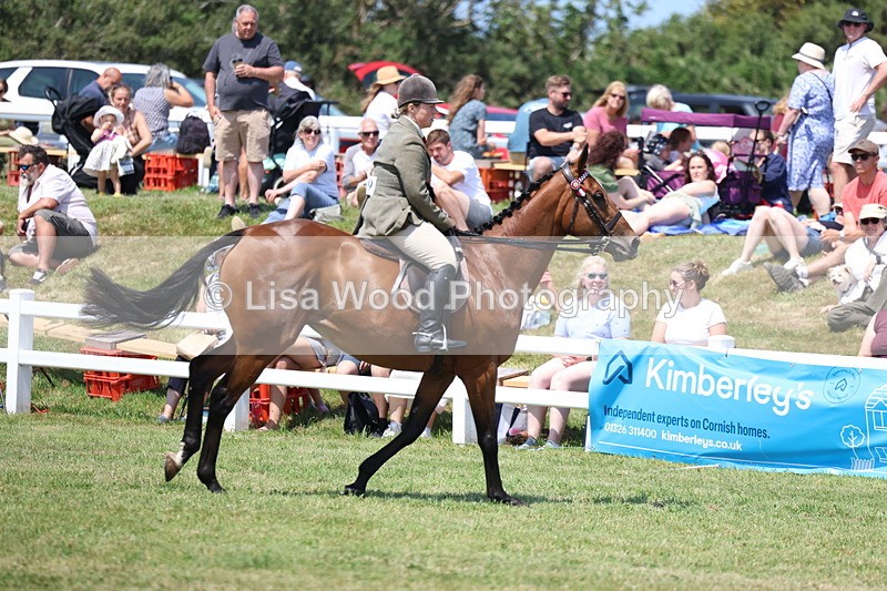 3E7A9385 - Class 12: Open Racehorse to Show Horse