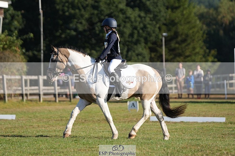 250823A-083857-25540 - Arena A