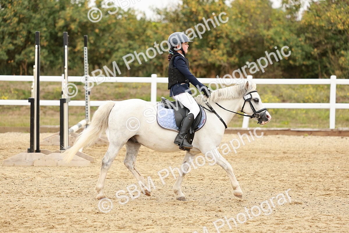 SBM_007161 - Class 2 - 50cm