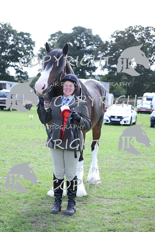 APP_3329 - Class 4 Veterans