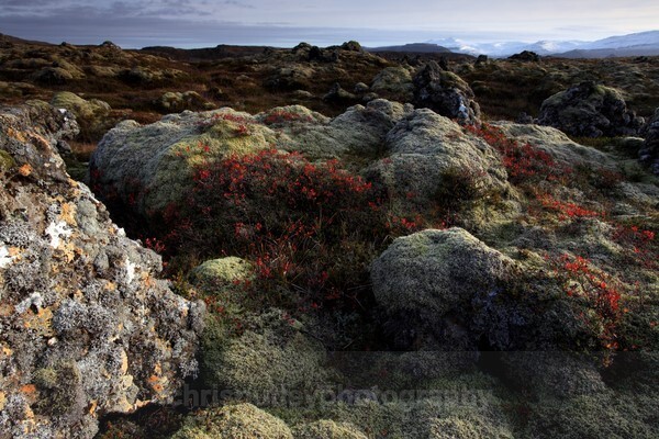  - European Landscapes