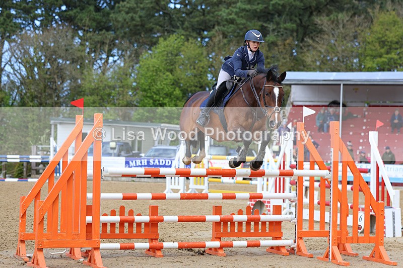 3E7A2132 - Class 8: Senior Foxhunter/1.20 open