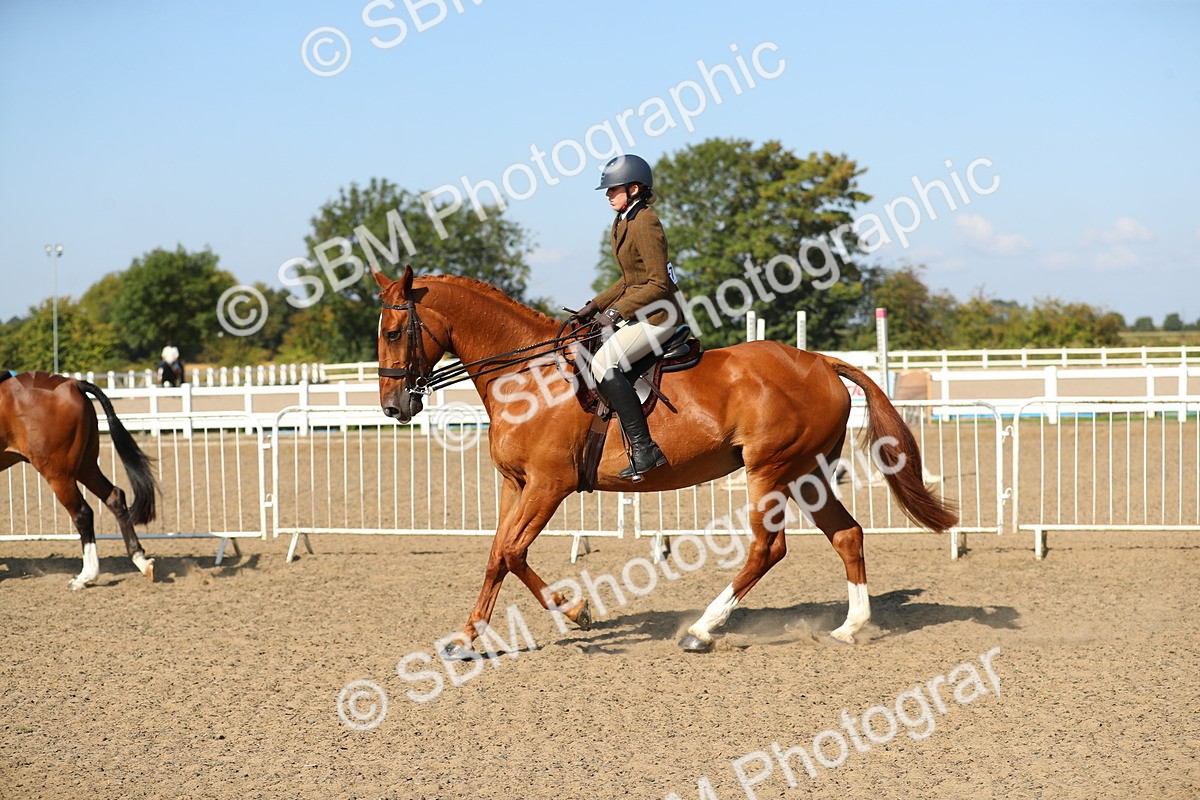 SBM_02238 - Class 43 Ridden Competition Horse/Pony