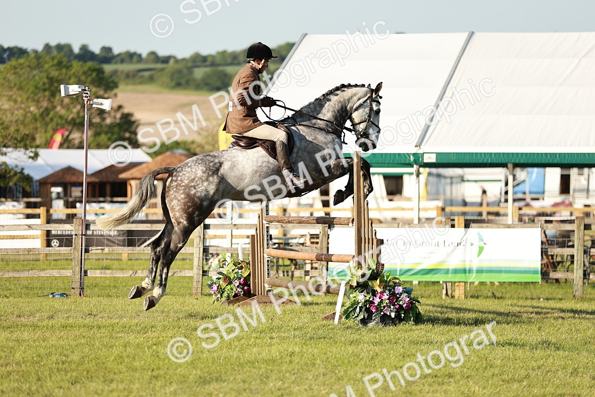 SBM_20409 - Class 117-119 - Sport Horse Working Hunter