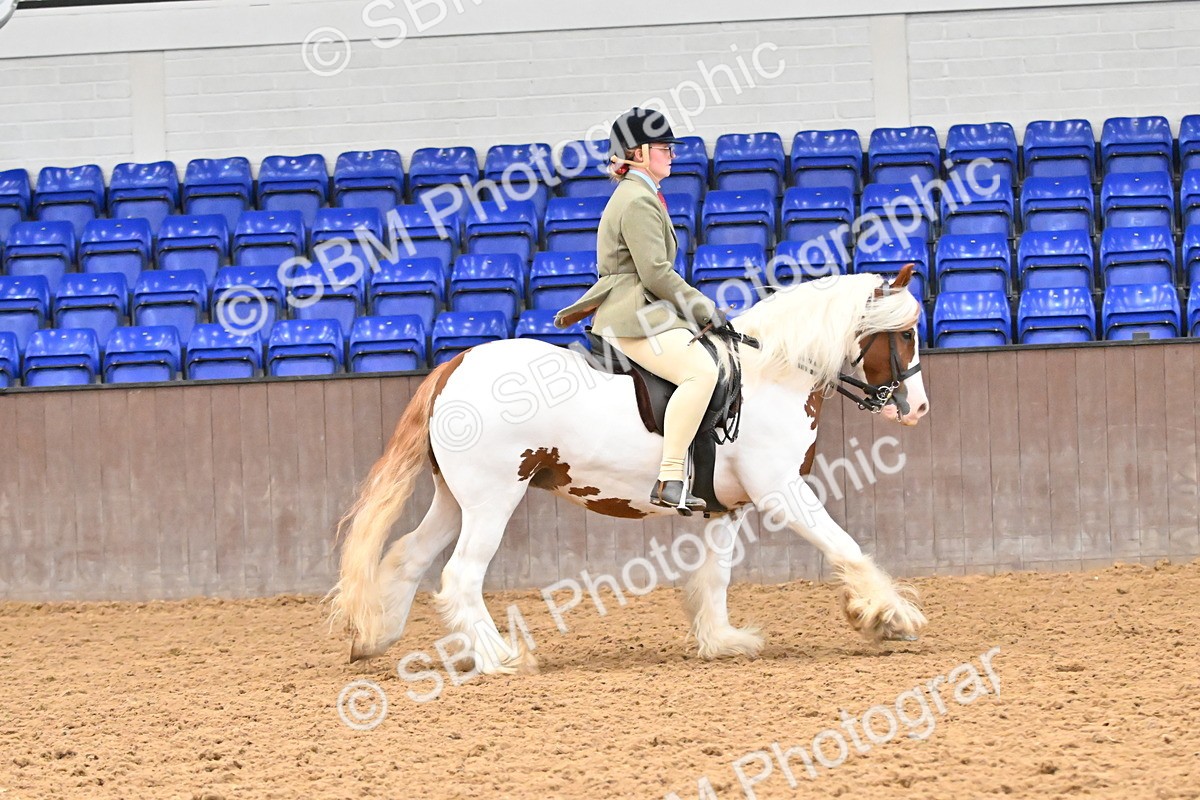 SBM_001417 - Class 18 - Ridden Cob