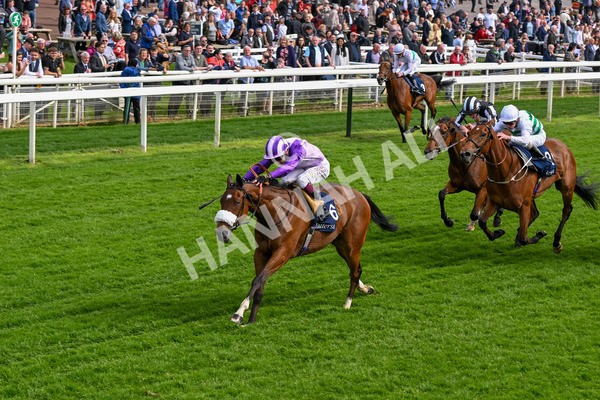150524-Race 4-Secret Satire-4236 - Race 4 3.45pm Tattersalls Musidora Stakes