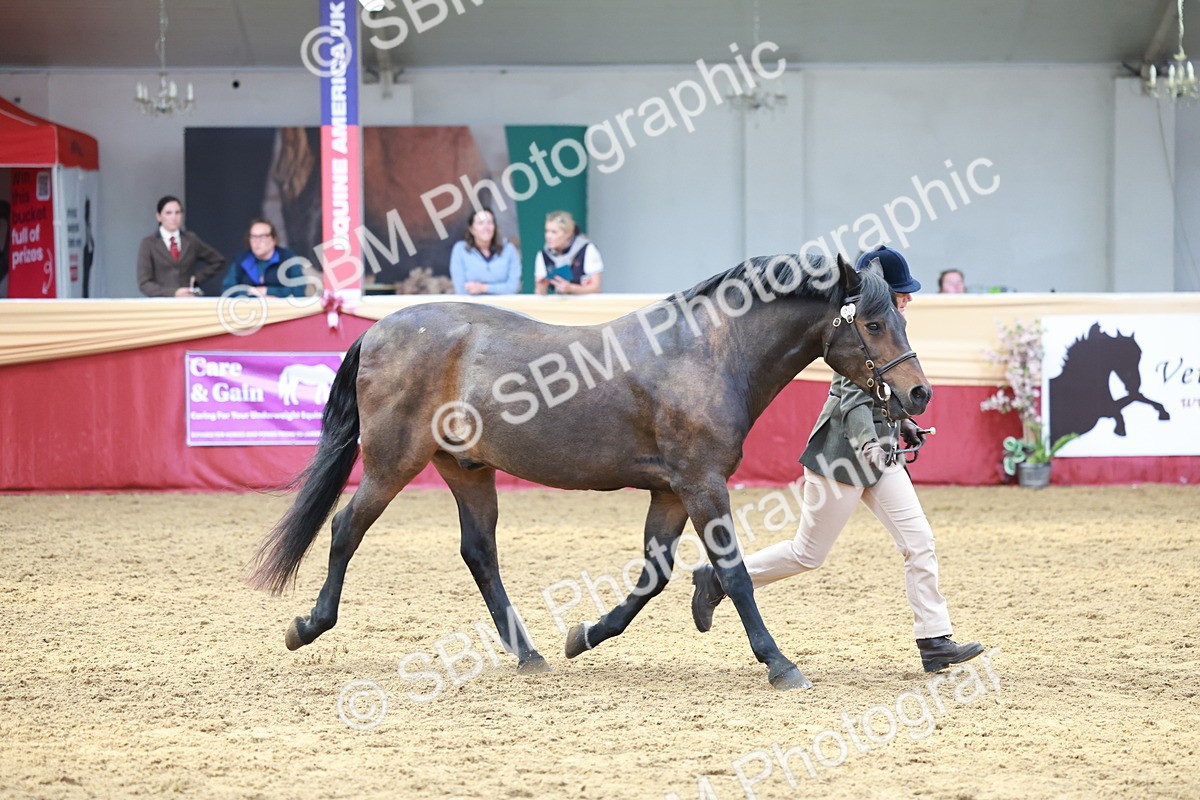 SBM_17496 - Class 951 - M&M IH Supreme Final