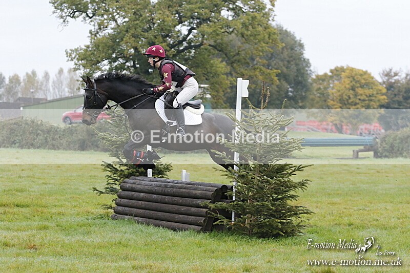 WWHT 181020 WWHT 181020 148 - WWEC Novice Restricted (0.80m) 18/10/20