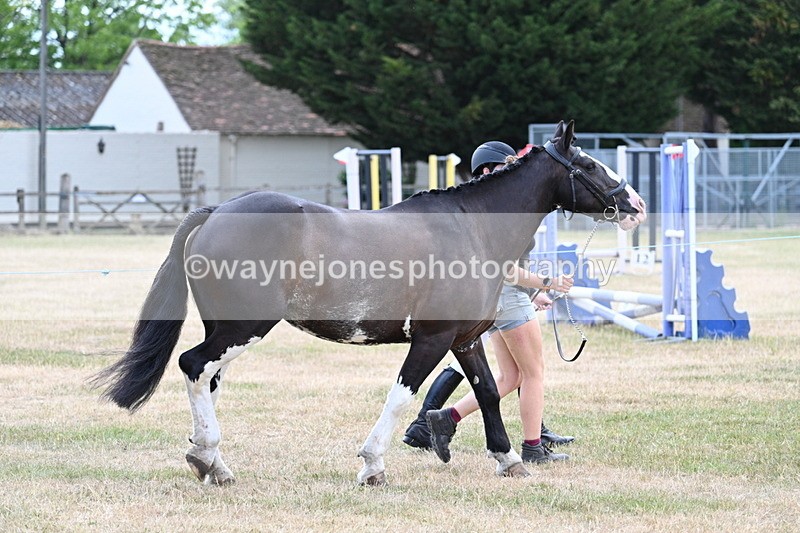 WJ7_1820 - Class 4a Prettiest Mare 14.2hh and over hand