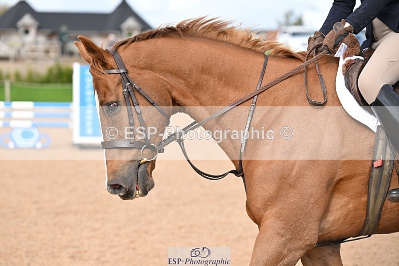 251005-145032-03988 - Cls 21 Newcomers and 1.10m