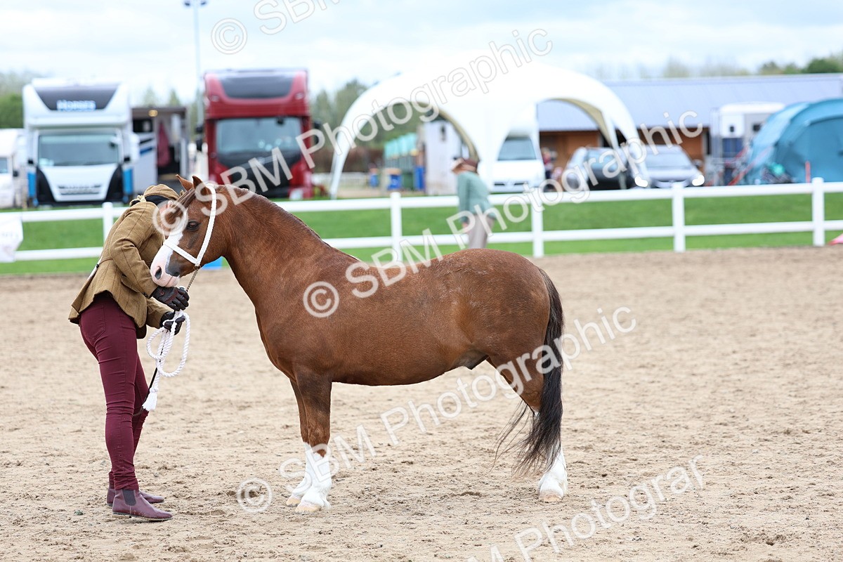 SBM_05956 - Class 29 - IH Veteran Pony