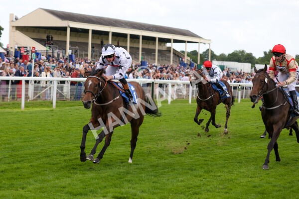 yr10062022r6-14 - Race 6 4.40pm No 1 York by GuestHouse Hotels British EBF Novice Fillies Stakes