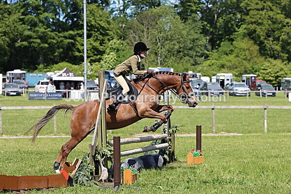 IMG_3638 - Working Hunter
