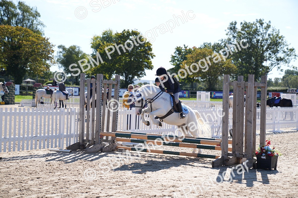 SBM_19386 - J57 - Clear Round 50cm