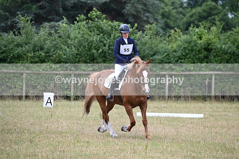 WJ6_0767 - Time 10:28 to 10:40