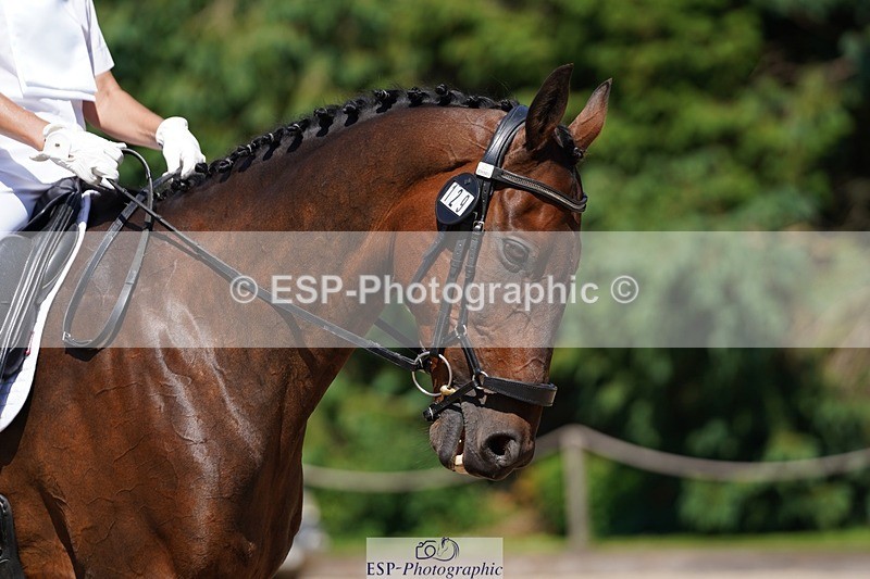 240719-151208-02553 - 129-Julie_Wheeler-Be_My_Scout