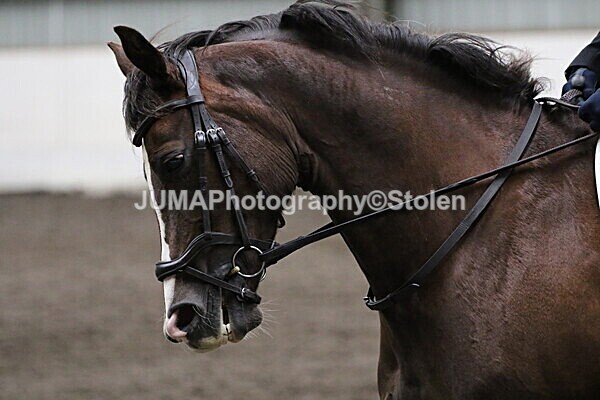 SIAL4631 - CAbin Dressage 5th july 2025