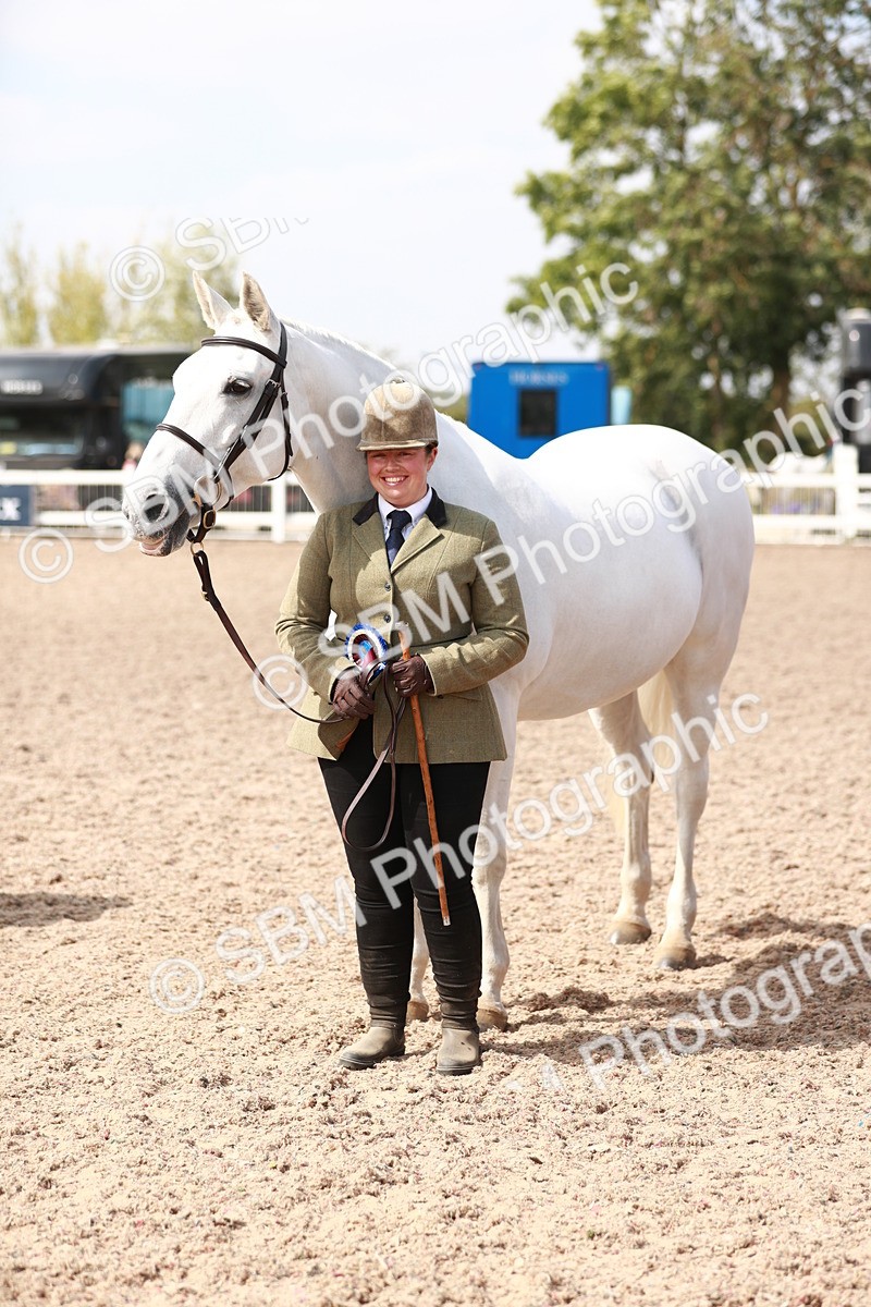 SBM_13299 - Class 208 IH Veteran Horse