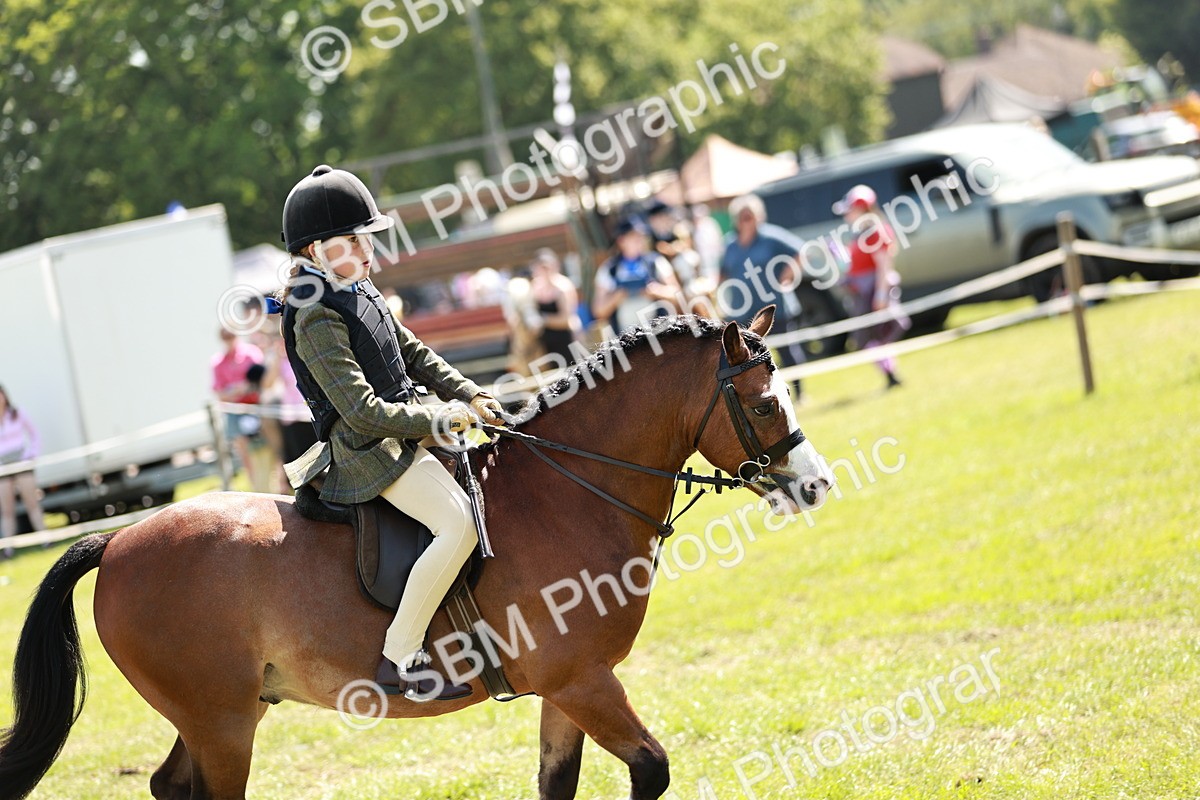 SBM_13563 - Class 108-109 - BSPS LIHS Open Gradle & Nursery Stakes