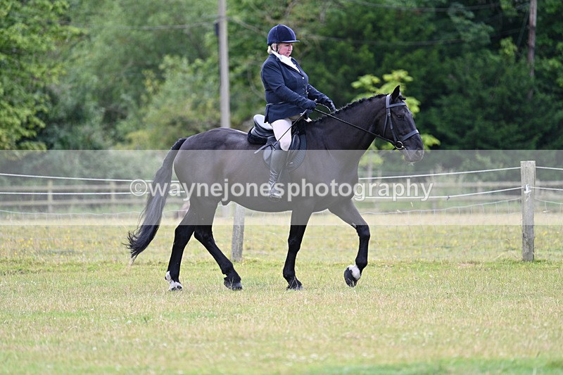 WJ7_9066 - Class 8 Ridden Veterans