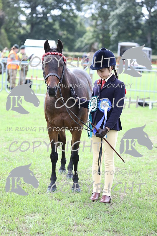 APP_2658 - Class 9 Veterans in hand