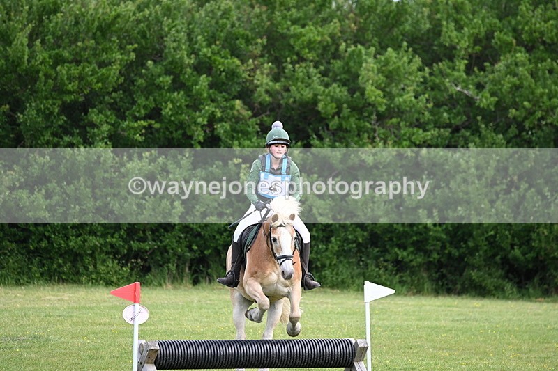 WJ6_2274 - Class 2 40cm