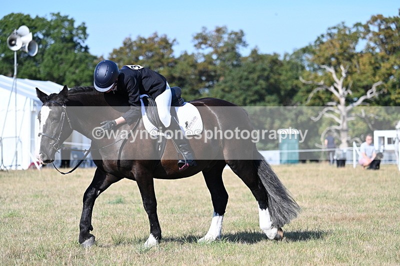 WJ7_9177 - Time 09:27 to 10:03