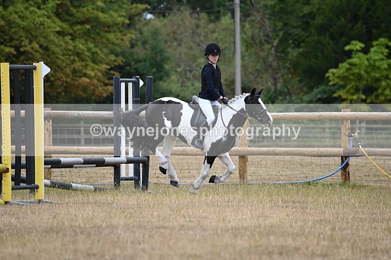 WJ6_0311 - Class 13 Novice Jumping 60cm